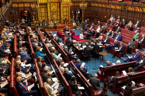 House of Lords Briefing (04 July 23)